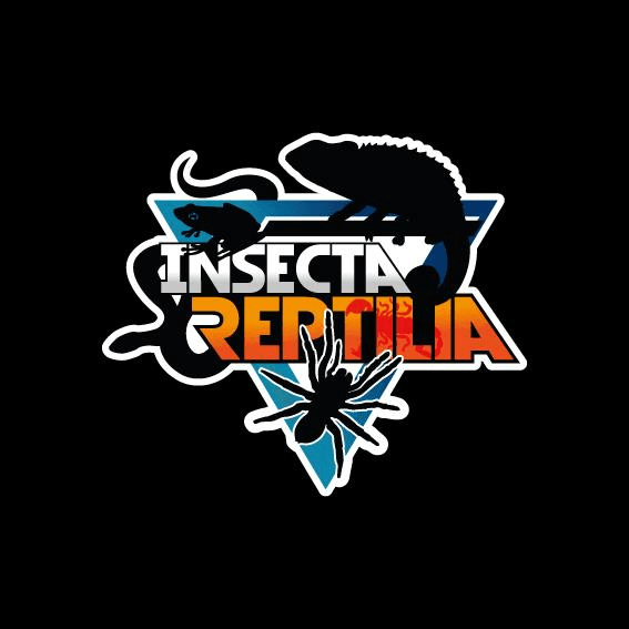 Insecta Reptilia